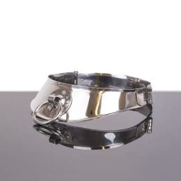 METAL HARD - RESTRAINT COLLAR WITH RING 2